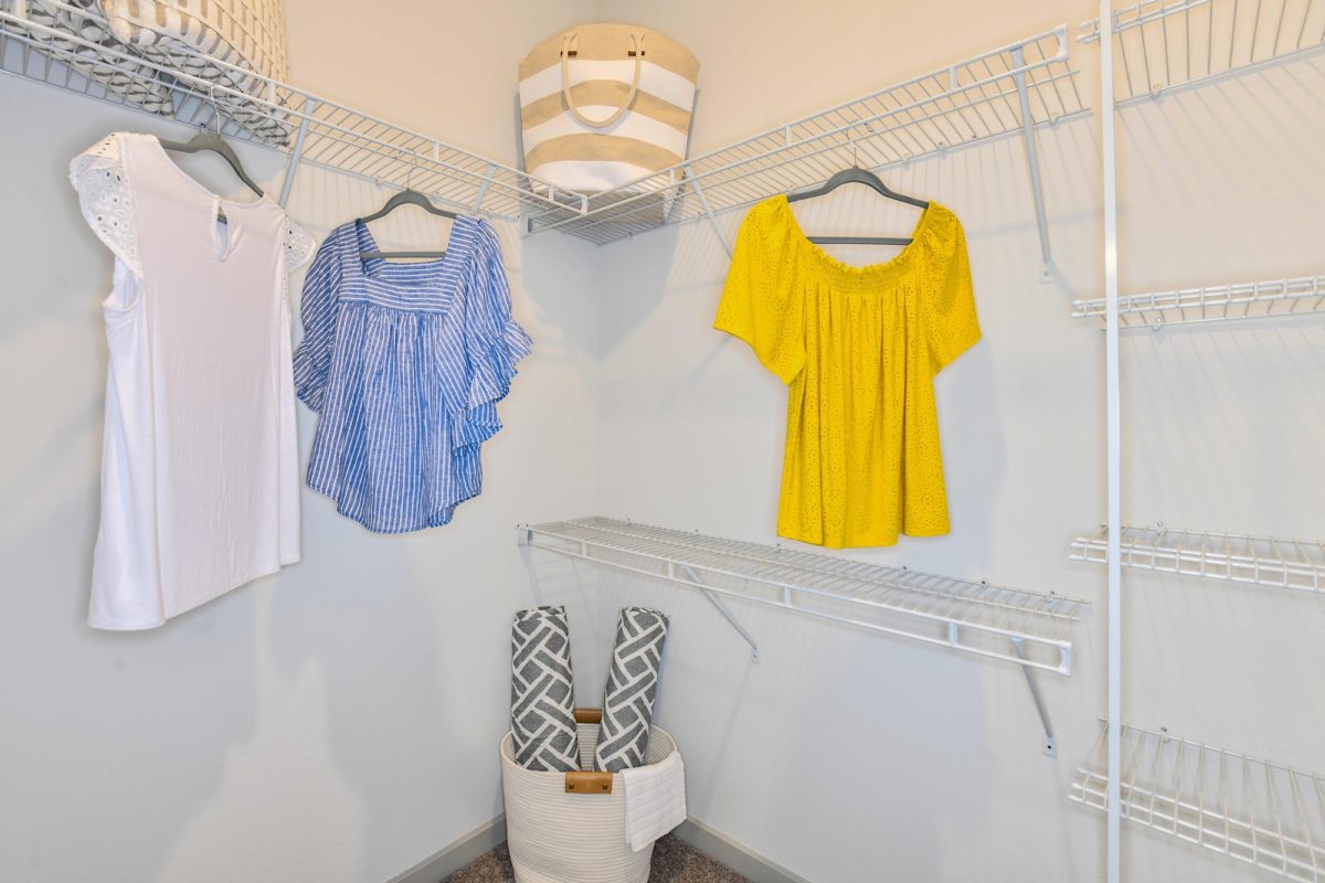 Closet with built in shelves