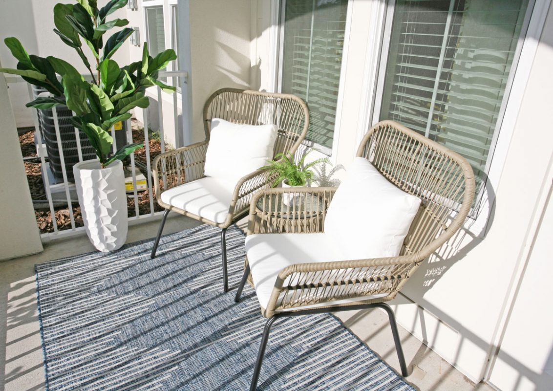 Patio with seating for 2, large plant, and rug